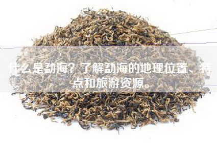 什么是勐海？了解勐海的地理位置、特点和旅游资源。