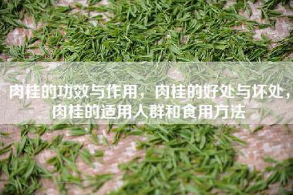 肉桂的功效与作用，肉桂的好处与坏处，肉桂的适用人群和食用方法