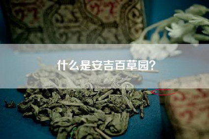什么是安吉百草园？