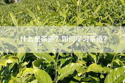 什么是茶道？如何学习茶道？