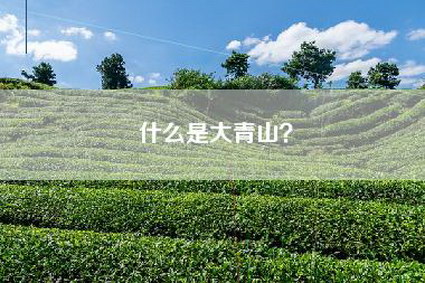 什么是大青山？