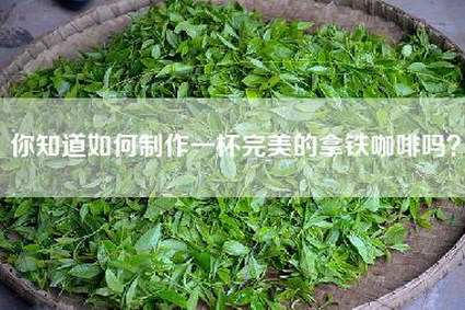 你知道如何制作一杯完美的拿铁咖啡吗？