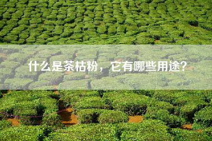 什么是茶枯粉，它有哪些用途？