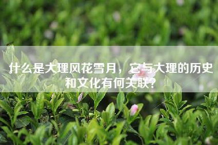什么是大理风花雪月，它与大理的历史和文化有何关联？