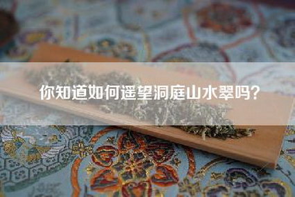 你知道如何遥望洞庭山水翠吗？