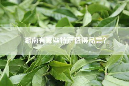 湖南有哪些特产值得品尝？