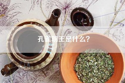 孔雀明王是什么？