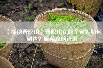 【探秘普陀山】普陀山在哪个省？如何到达？旅游攻略详解