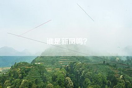 谁是新凤鸣？