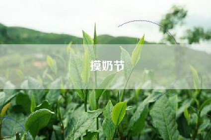 摸奶节