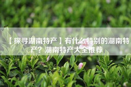 【探寻湖南特产】有什么特别的湖南特产？湖南特产大全推荐