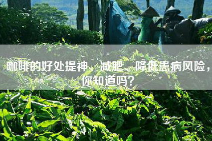 咖啡的好处提神、减肥、降低患病风险，你知道吗？