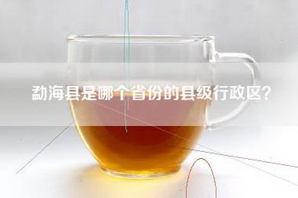 勐海县是哪个省份的县级行政区？