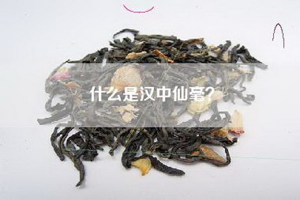 什么是汉中仙毫？