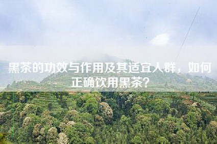 黑茶的功效与作用及其适宜人群，如何正确饮用黑茶？