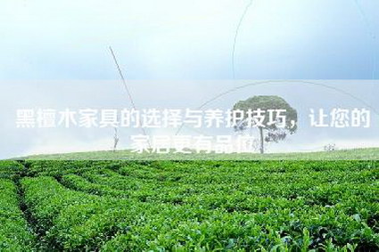 黑檀木家具的选择与养护技巧，让您的家居更有品位