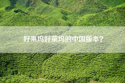好来坞好莱坞的中国版本？