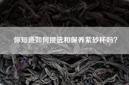 你知道如何挑选和保养紫砂杯吗？