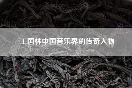 王国林中国音乐界的传奇人物