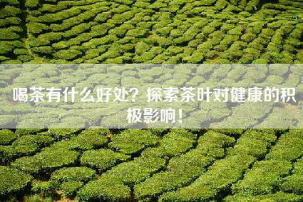 喝茶有什么好处？探索茶叶对健康的积极影响！