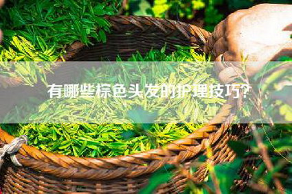 有哪些棕色头发的护理技巧？