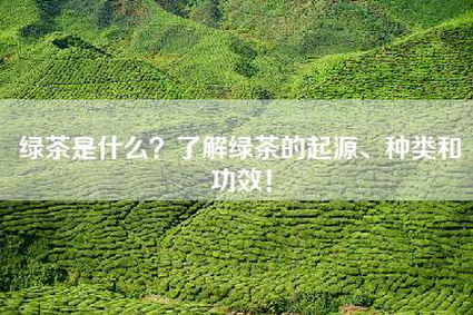 绿茶是什么？了解绿茶的起源、种类和功效！