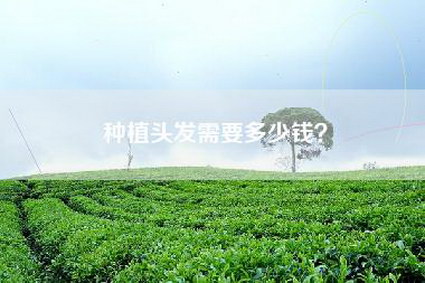 种植头发需要多少钱？