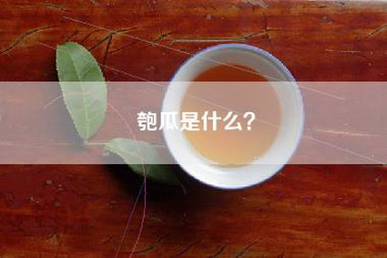 匏瓜是什么？