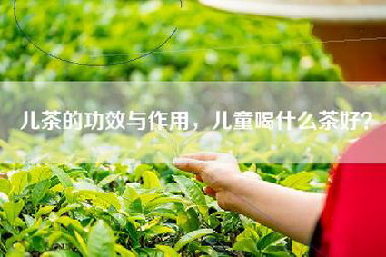 儿茶的功效与作用，儿童喝什么茶好？