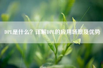 DPL是什么？详解DPL的应用场景及优势