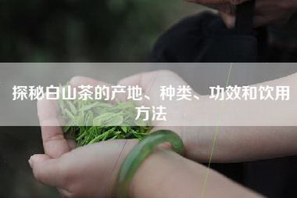 探秘白山茶的产地、种类、功效和饮用方法
