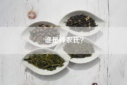 谁是神农氏？