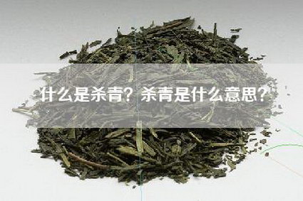 什么是杀青？杀青是什么意思？