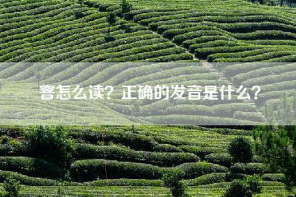 窨怎么读？正确的发音是什么？