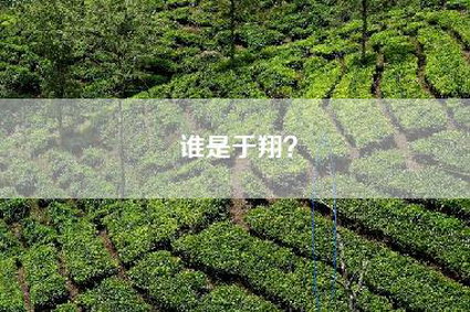 谁是于翔？