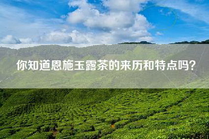 你知道恩施玉露茶的来历和特点吗？