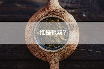 谁是银桑？