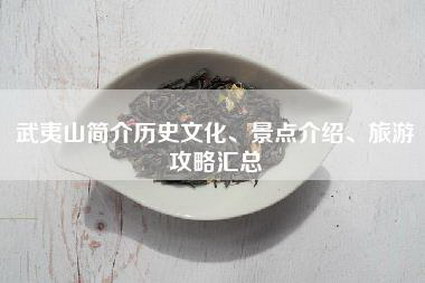 武夷山简介历史文化、景点介绍、旅游攻略汇总