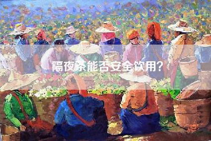 隔夜茶能否安全饮用？