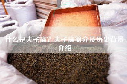 什么是夫子庙？夫子庙简介及历史背景介绍