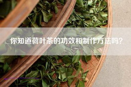 你知道荷叶茶的功效和制作方法吗？