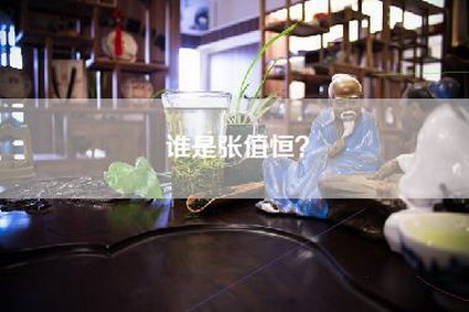 谁是张值恒？