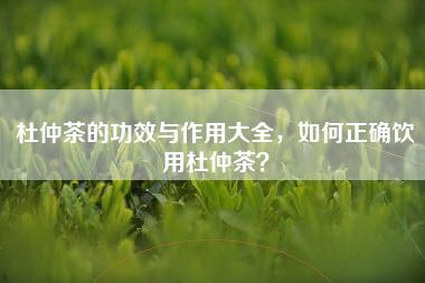 杜仲茶的功效与作用大全，如何正确饮用杜仲茶？