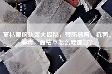 夏枯草的功效大揭秘，预防感冒、抗菌、解毒，夏枯草怎么吃最好？