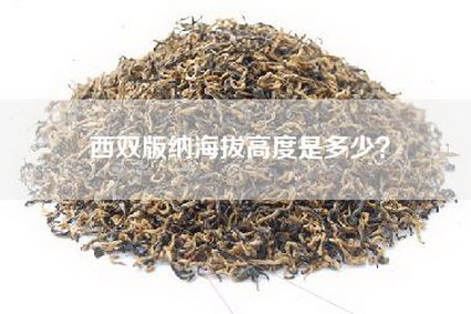 西双版纳海拔高度是多少？