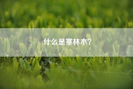 什么是塞林木？