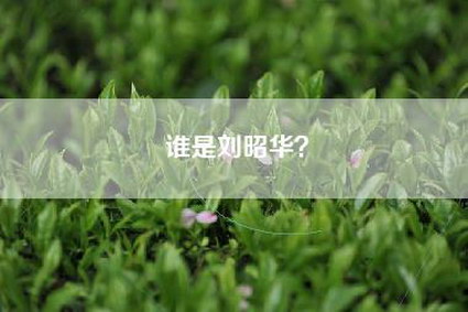 谁是刘昭华？