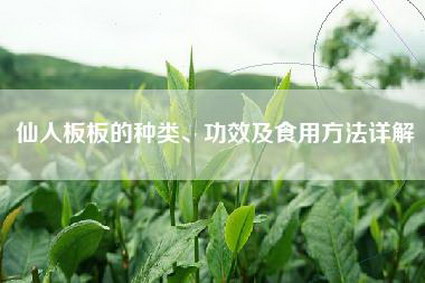 仙人板板的种类、功效及食用方法详解