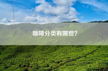 咖啡分类有哪些？