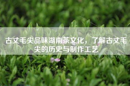 古丈毛尖品味湖南茶文化，了解古丈毛尖的历史与制作工艺